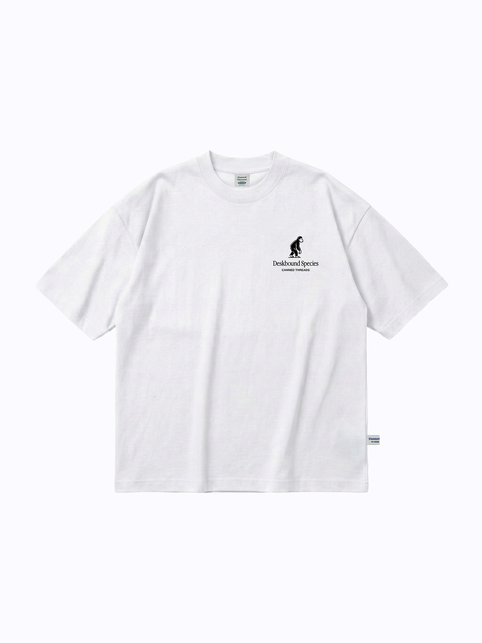 Deskbound Species Oversized Tee